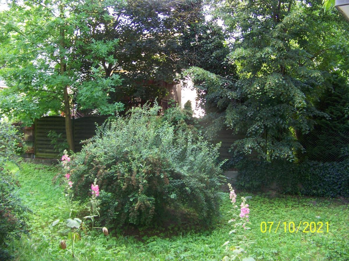 Zielony Apartament, Kielce, Targi, Centrum المظهر الخارجي الصورة